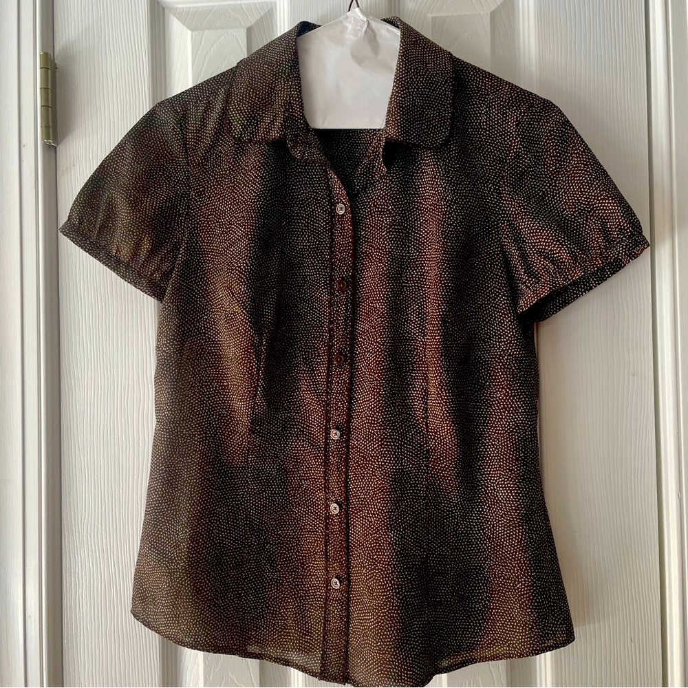 Ann Taylor Loft Brown with Cream Top